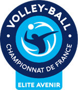logo vollay ball championnat de france elite avenir