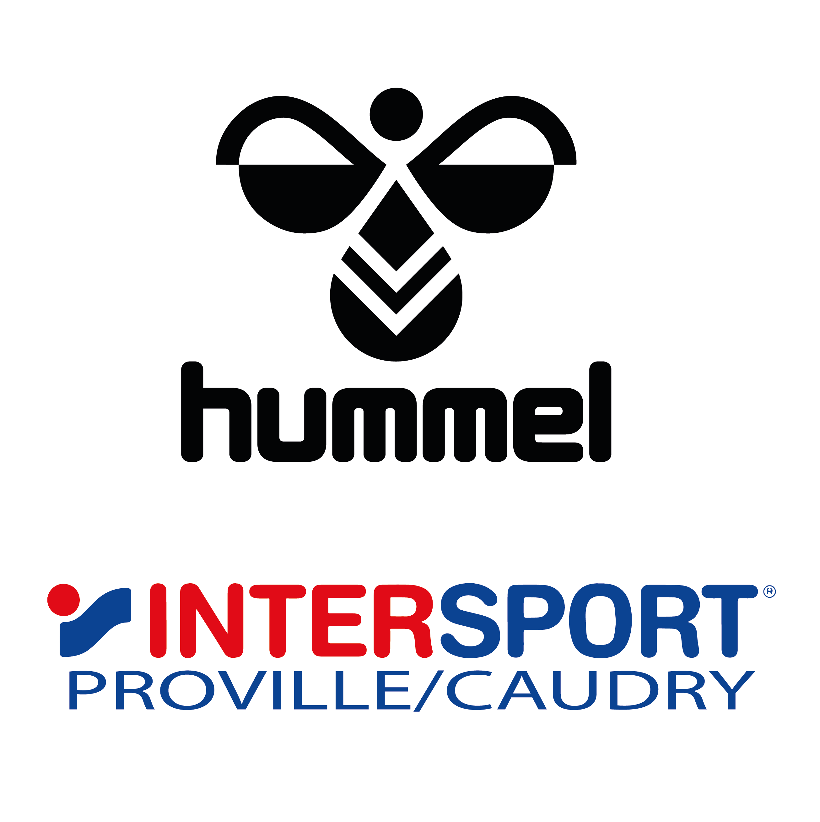 logo hummel et intersport proville/caudry